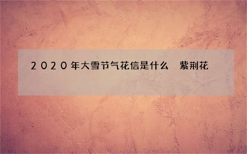 2020年大雪节气花信是什么 紫荆花